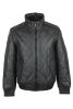 volpe dorate 3005-1 1