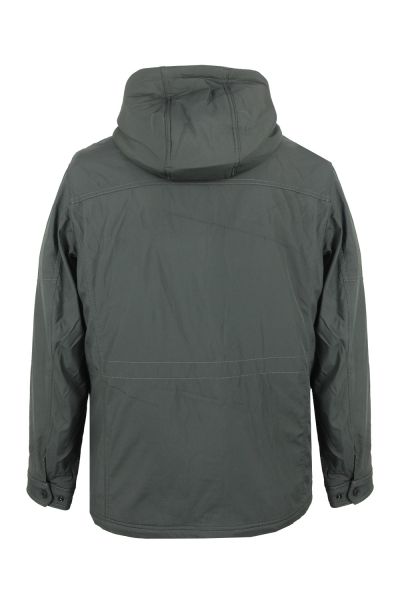 volpe dorate 9221-17 3