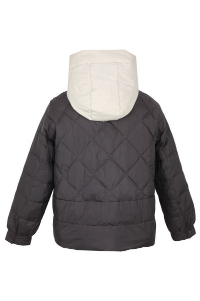 vivi lona 8113бак 3