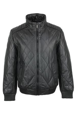 volpe dorate 3005-1 1