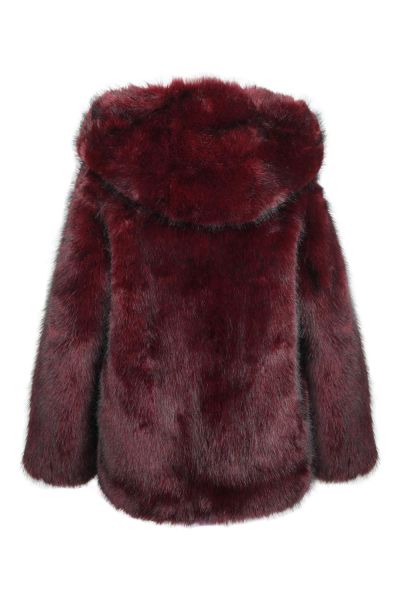 thomas bieber 45081 3