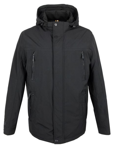 volpe dorate 1096-1 1