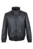 volpe dorate 3005-27 1