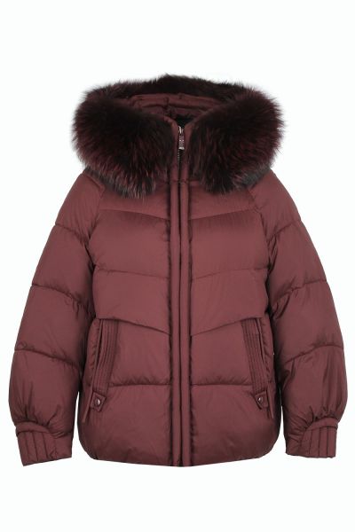 meajiateer 2597-19 1