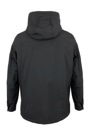 volpe dorate 1096-1 3