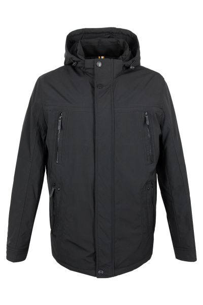 volpe dorate 1096-1 1