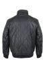 volpe dorate 3005-27 3