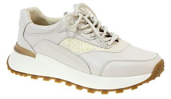 Кроссовки Nicolo Rozetti 6321-12