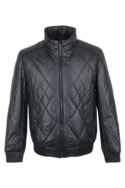 volpe dorate 3005-27 1