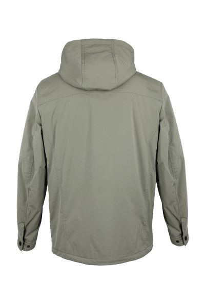 volpe dorate 1096-8 3