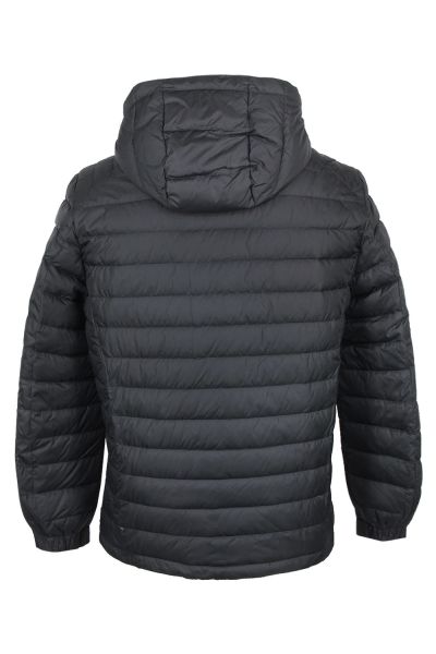 volpe dorate 6610-27 3