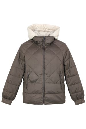 vivi lona 8113кор 1