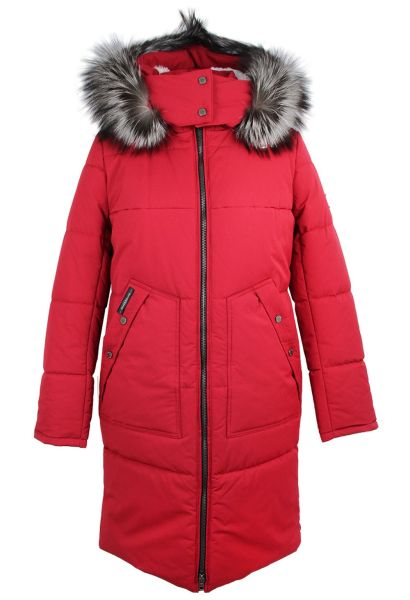 north bloom пелагея 1