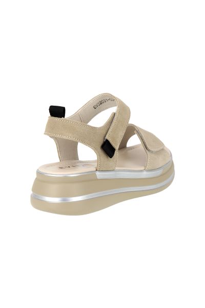 32031 2 32031 2