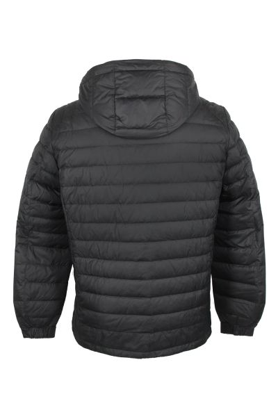 volpe dorate 36610-1 3