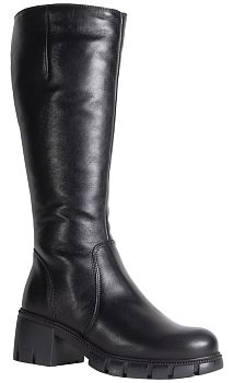 Сапоги FrancescoDonni F1F2 3L335-02W(U)