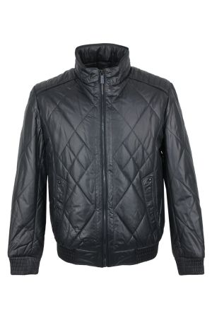 volpe dorate 3005-27 1