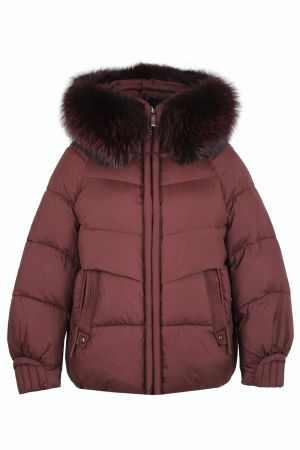 meajiateer 2597-19 1