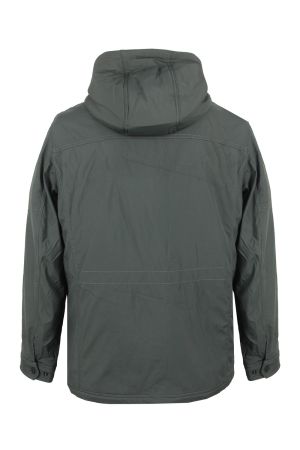 volpe dorate 9221-17 3