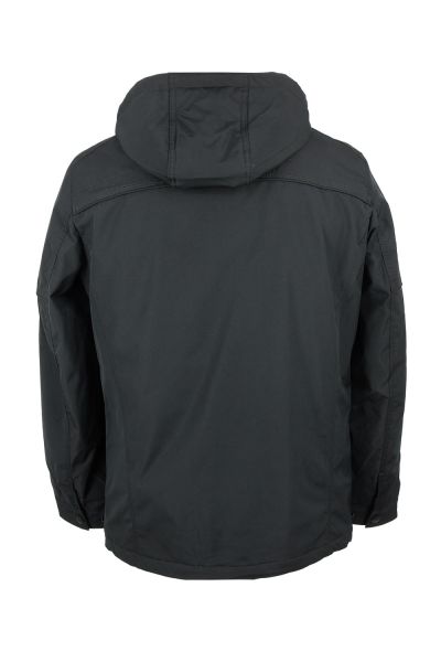 volpe dorate 1096-27 3