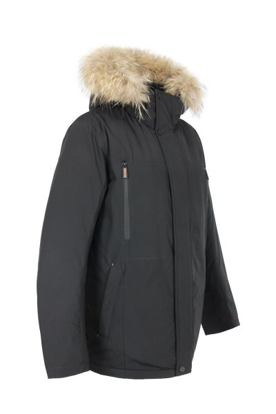 frompoles 18882 чер 2