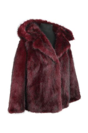 thomas bieber 45081 2