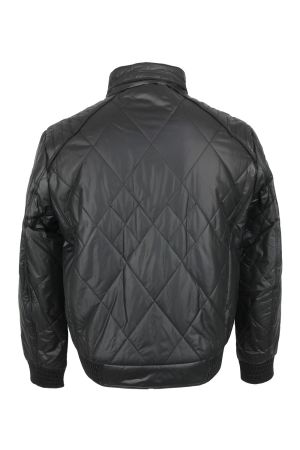 volpe dorate 3005-1 3