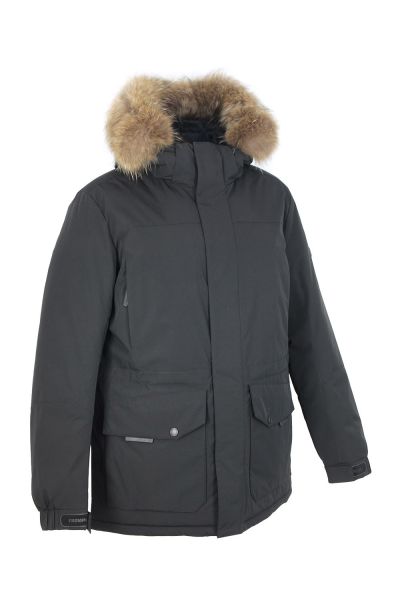 18976 2 18976 2