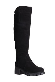 Ботфорты FrancescoDonni F5R2 3L360-02W