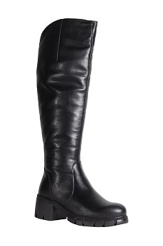 Сапоги FrancescoDonni F5F2 3L360-02W(U) (F5V2 3L360-02S)