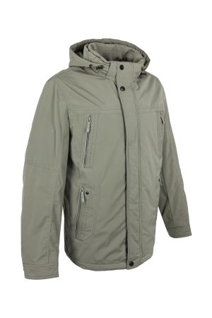 volpe dorate 1096-8 2