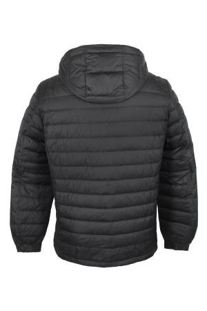 volpe dorate 36610-1 3