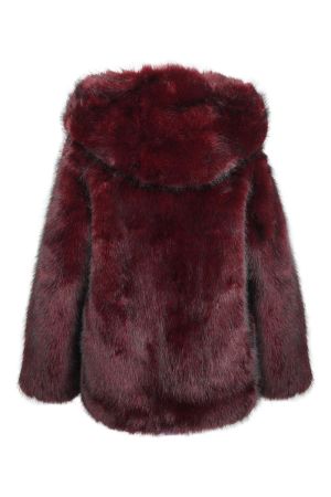 thomas bieber 45081 3