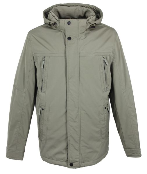 volpe dorate 1096-8 1