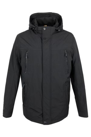 volpe dorate 1096-1 1