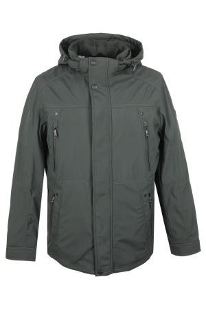 volpe dorate 9221-17 1