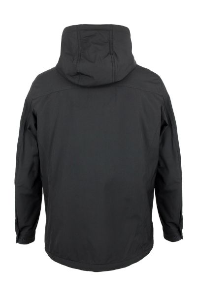 volpe dorate 1096-1 3