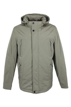 volpe dorate 1096-8 1