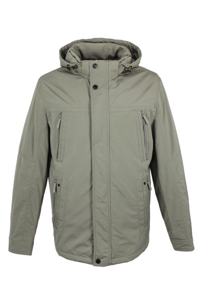 volpe dorate 1096-8 1