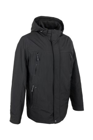 volpe dorate 1096-1 2