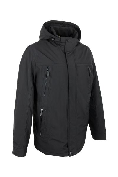 volpe dorate 1096-1 2