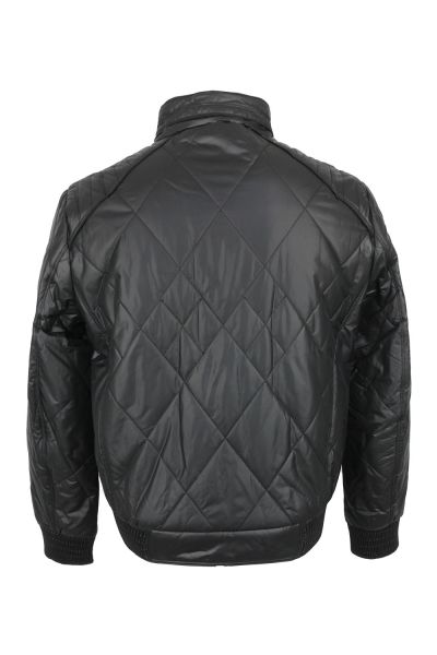 volpe dorate 3005-1 3