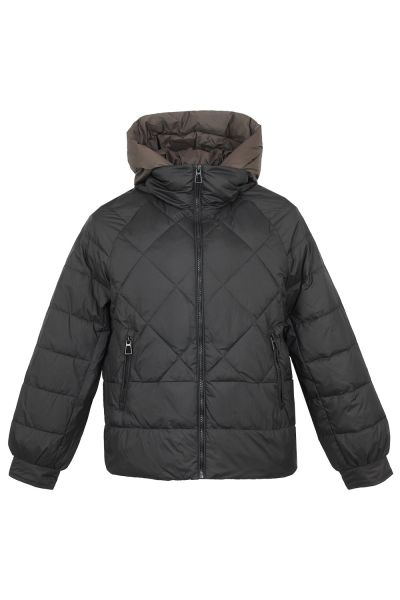 vivi lona 8113чер 1