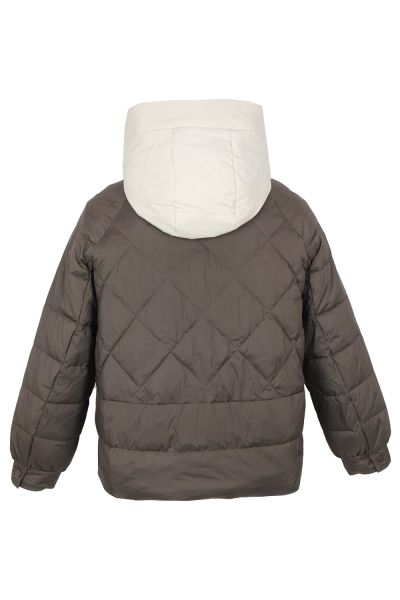 vivi lona 8113кор 3