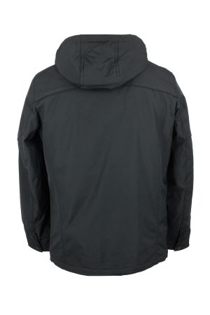 volpe dorate 1096-27 3