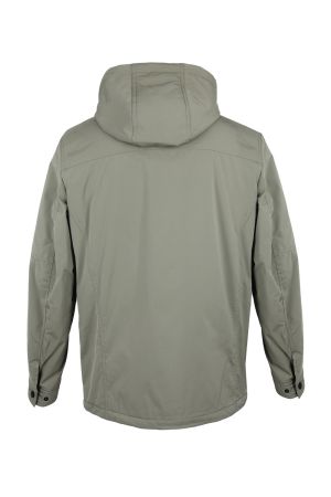 volpe dorate 1096-8 3